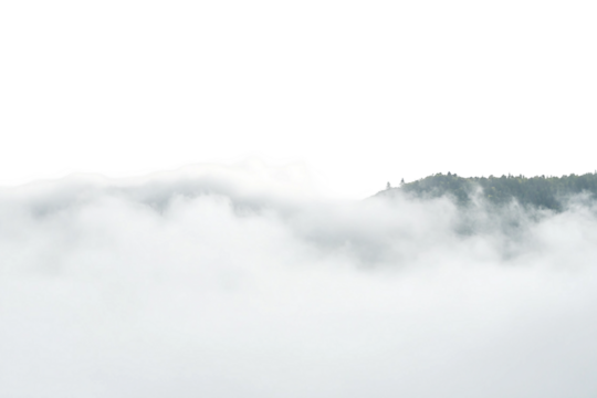 Dense Fog Texture Isolated on Transparent Background - Powered by Adobe