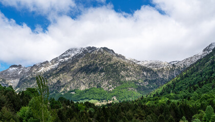 The majestic Pyrenees mountains in Andorra, snow-capped peaks rising above lush green forests. The vibrant greenery contrasts beautifully with the rugged, rocky summits under a partly cloudy sky.