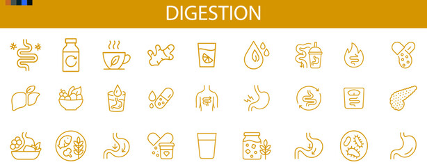 Digestion line icons set, gut health anatomy remedy vector