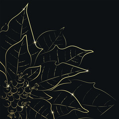 Golden Poinsettia, Hand Drawn, Drawing Sketch, Christmas Flower, Aesthetic Line Art, Poinsettia Doodle, Golden, EPS 10, Vector