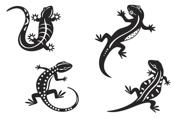 Illustration of four black and white lizards with different patterns on a white isolated background silhouette