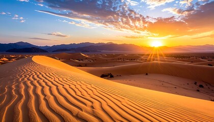 Golden desert sunset