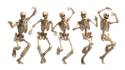 HD realistic clipart set of skeleton figures in dancing poses isolated on transparent background 