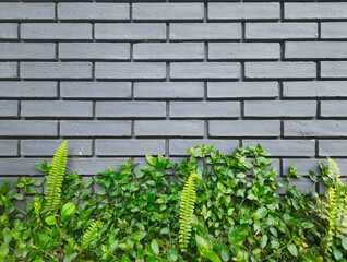 A gray brick wall with green flowers along the bottom edge. Creative space. Advertising, congratulations. Copy space 