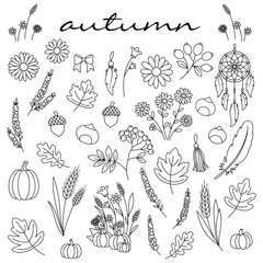 Autumn harvest plants and elements embroidery template