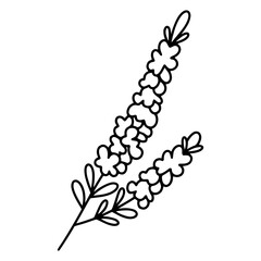Embroidery template showing autumn flowers outline for stitching