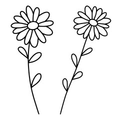 Outline daisy flowers embroidery template for craft