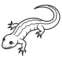 Salamander line art vector