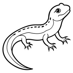 Salamander line art vector