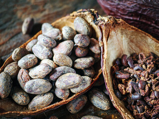Close-up of brown cocoa beans and cocoa nibs with dry cacao pod