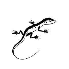 Naklejka premium Anole. Anole simple black and white line art vector logo