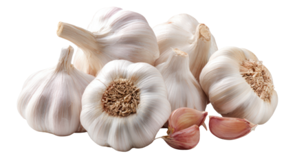 Fresh garlic bulbs isolated on a white background.