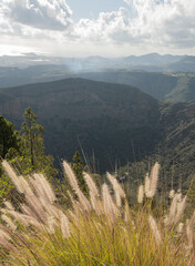 Looking in the dark crater of Pico de Bandama, Grand Canaria, Spain