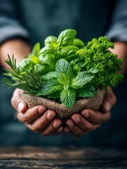 Fresh Medicinal Herbs Held in Hands for Natural Remedies and Wellness