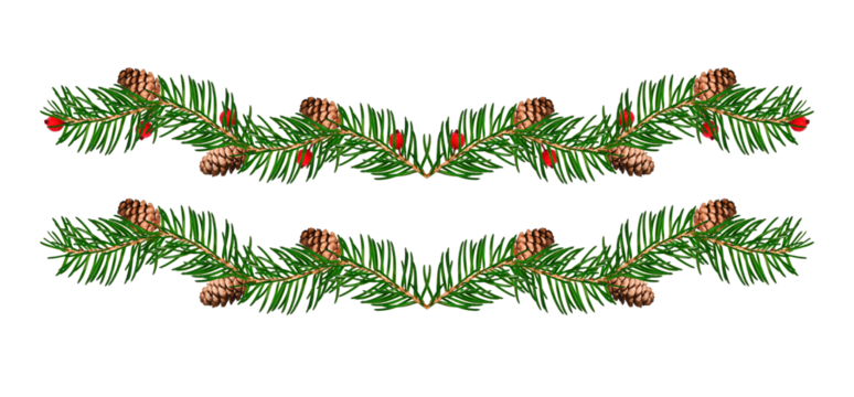 Winter garland of evergreen fir twigs, pinecones, and berries. Isolated Christmas decoration divider for seasonal greeting cards, invitations, posters, and digital designs.