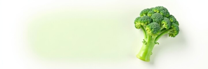 Single vibrant green broccoli floret, clean white backdrop, background, diet
