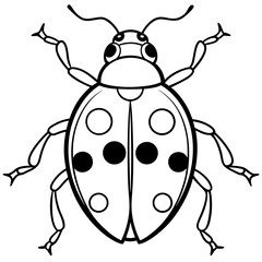 Ladybug line art vector