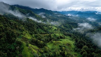 Fototapeta premium Misty mountain range with lush green valleys. Aerial view of forested slopes