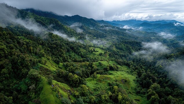 Misty mountain range with lush green valleys. Aerial view of forested slopes