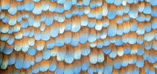 Stylish ornament from bird feathers ornament on fabric wallpaper. Interior design, bird feathers wallpaper texture, decor. The pattern on the fabric is bright feathers.	
