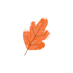 Autumn clipart in pencil style - orange oak leaf, vector illustration