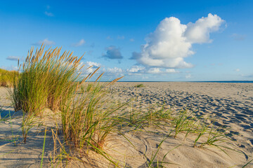 Sandstrand im Morgenlicht am Ellenbogen, Insel Sylt