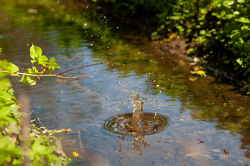 Steinwurf in den Bach - Wasserspritzer