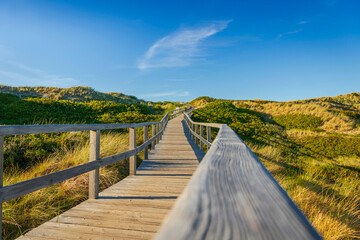 Fototapeta premium Holzsteg durch die Dünenlandschaft zum Strand auf der Nordseeinsel Sylt