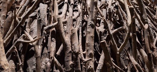 Stacks of dry logs are illuminated by shadows.