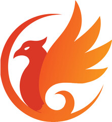 Fototapeta premium Rise of the Phoenix Line of Light