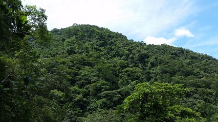 Naturaleza en estado de conservación