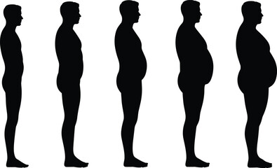 Body shape, male silhouette, weight gain, obesity, fitness, health awareness, posture change, fat accumulation, anatomy, flat vector illustration