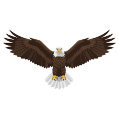 Majestic American Bald Eagle with Wings Spread Wide.