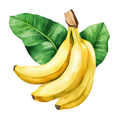 Banana, watercolor drawing vector, isolated on a white background.