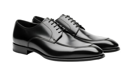 black leather shoe