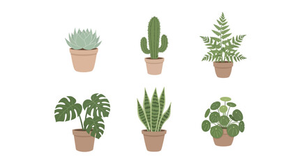 A collection of diverse potted plants, bringing freshness and a touch of nature indoors. Each plant is carefully chosen for its unique shape and texture Vector illustration
