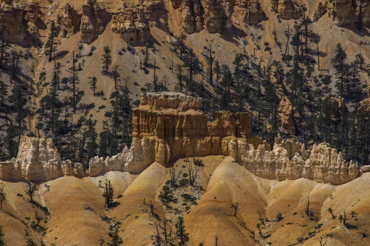 Hoodoo Rock Formations in Bryce Canyon National Park, Utah - Powered by Adobe