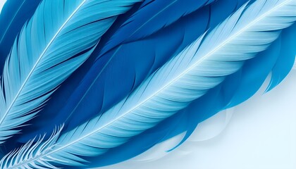 Abstract background with a combination of dark blue feathers and white feathers.