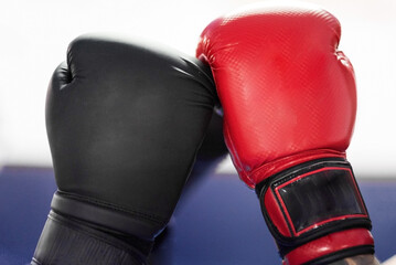 Boxing gloves touching, ready to start de combat. . High quality photo