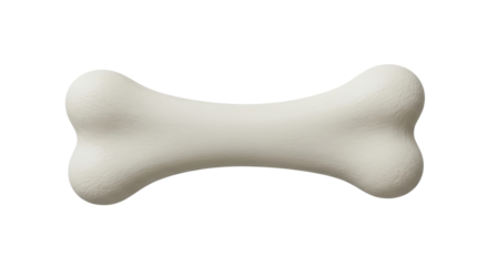 Isolated dog bone, pet treat, healthy snack for dog, veterinary, dental care, chewable toy