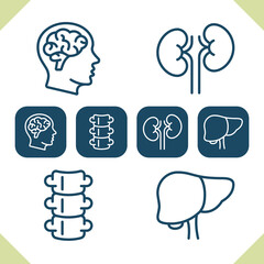 Internal Organs Icons