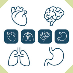 Internal Organs Icons