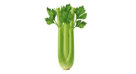 Isolated stick of fresh green celery with leaves against plain backdrop, healthy eating