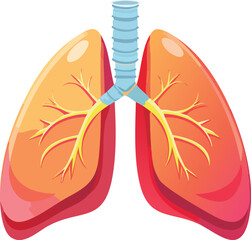 A simple, anatomical illustration of the human lungs and respiratory system. A vector for medical and health concepts. Generative AI
