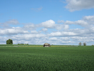 Brownshill Dolmen Very Large Megalithic