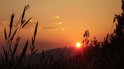 Sunrise & Sunset Coastal Landscapes: Orange/Red Sky Reflections, Blue Ocean Waves & Summer Beach Vistas