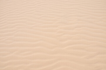Sand texture. Sand background. Top view of sand dunes.