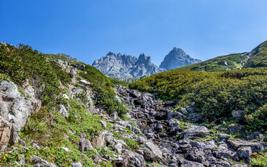 The Altıparmak Mountains, one of the highest places in the Eastern Black Sea region...