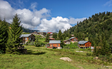 

A habitat used during the summer months in the higher elevations of Rize in the Eastern Black Sea region.