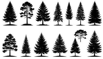 Obraz premium Black silhouettes of diverse coniferous trees. Various shapes and sizes, set against a white background. Detailed illustrations, evoking nature